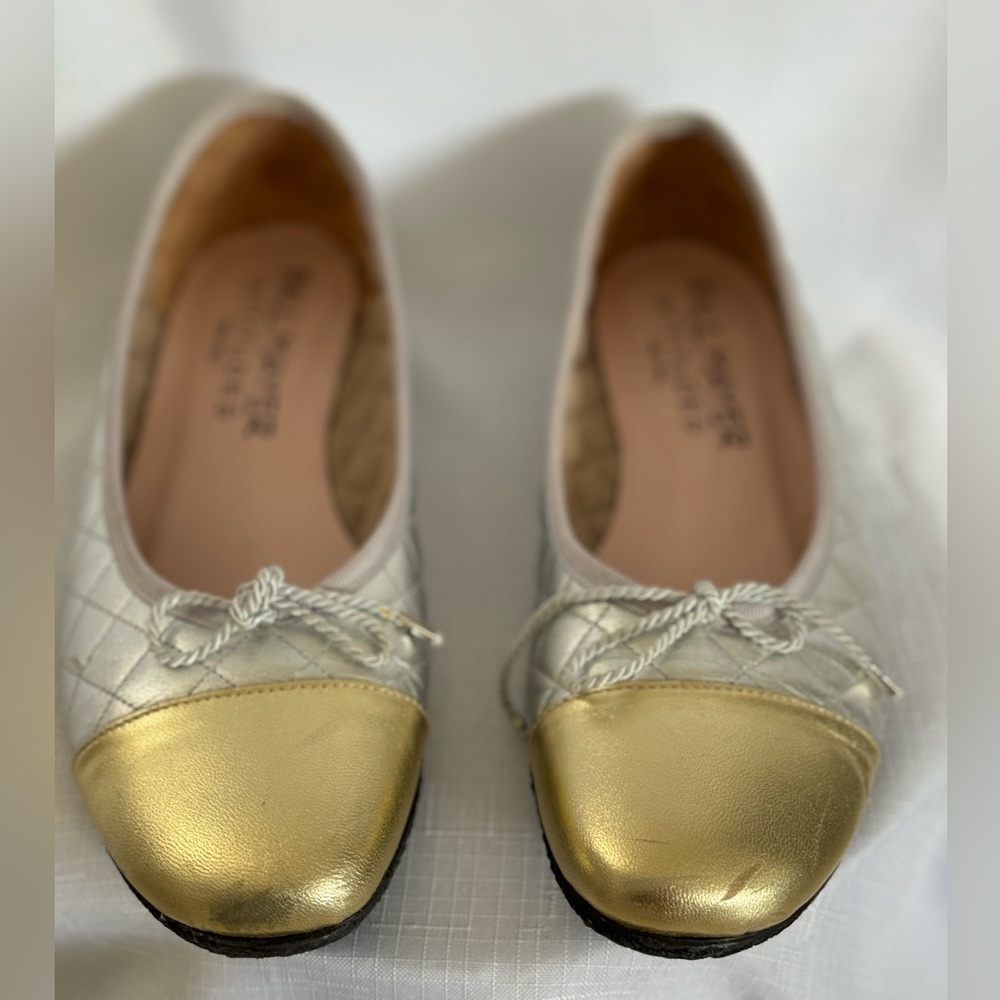 PAUL MAYER ATTITUDES BEAUTIFUL FLATS